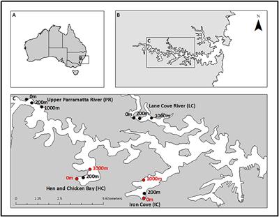 Legacy Metal Contaminants and Excess Nutrients in Low Flow Estuarine Embayments Alter Composition and Function of Benthic Bacterial Communities